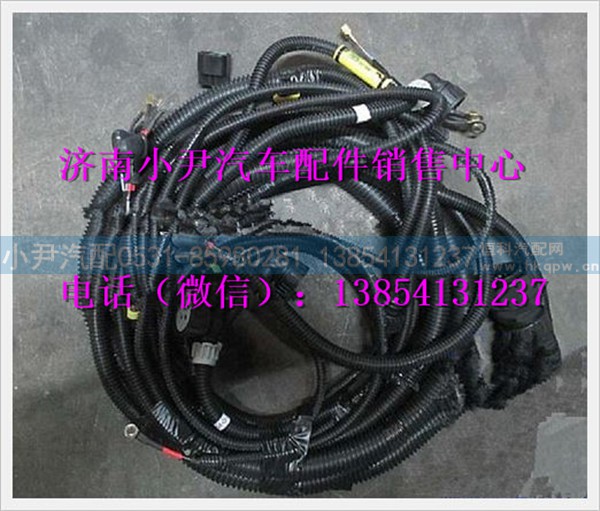 陕汽德龙发动机变速器底盘电线束DZ93189774681