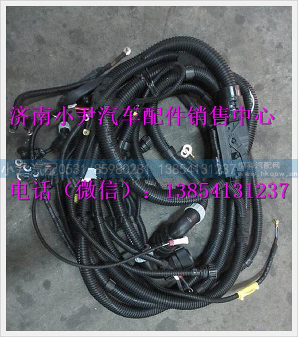 陕汽德龙发动机、变速器底盘线束DZ95189777801
