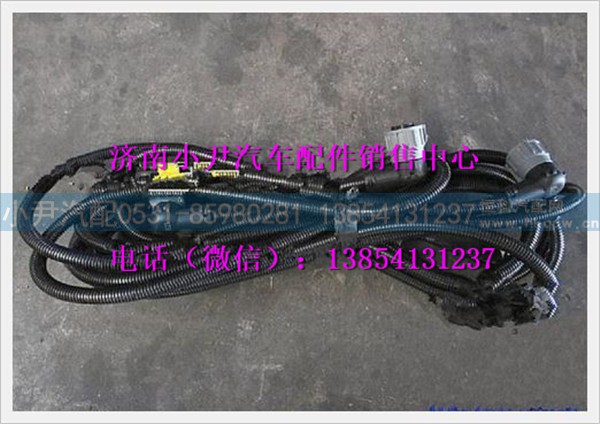 陕汽德龙轮间和轴间差速锁电线束DZ95259774103