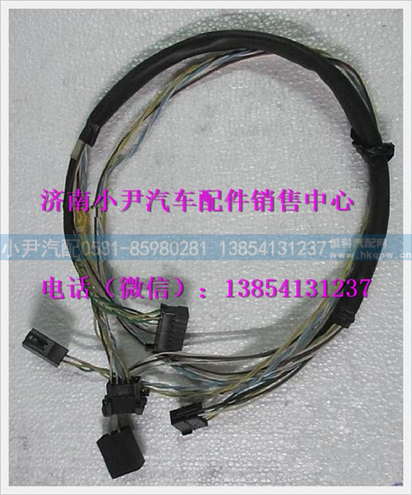 陕汽德龙远程管理模块附加线束DZ95189776205