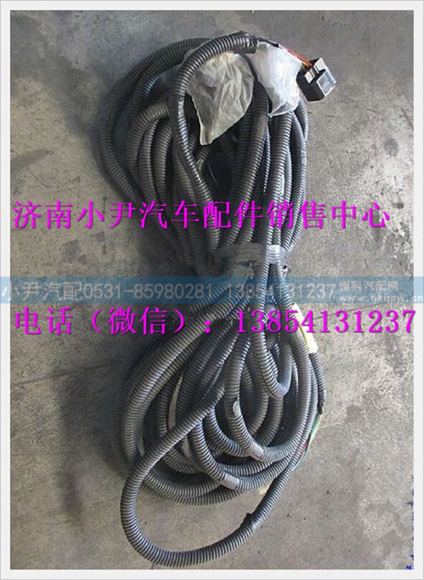 陕汽德龙奥龙仪表底盘线束LDZ91189771014