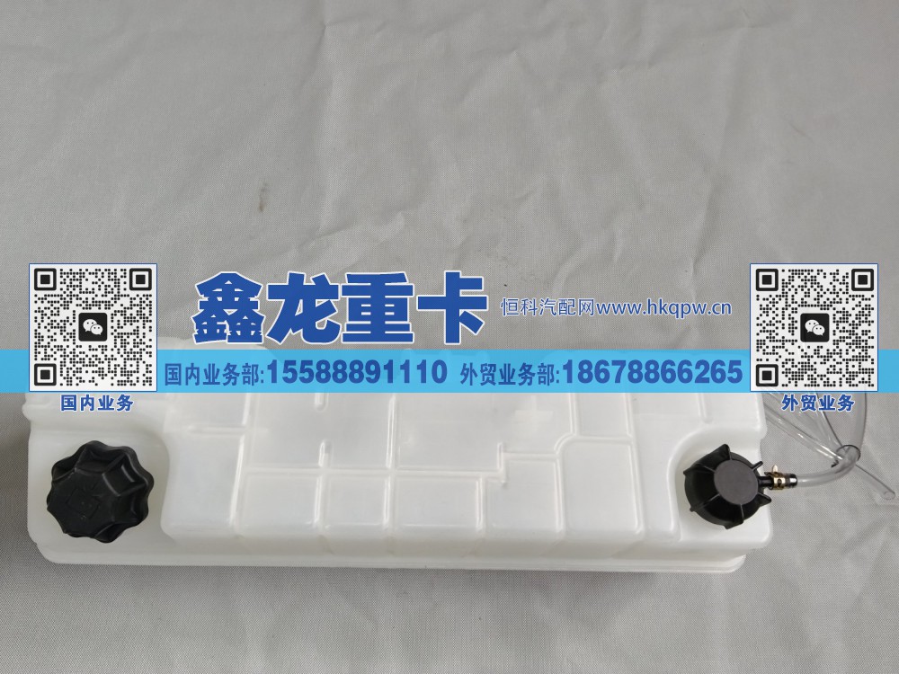 膨胀水箱总成（带液位传感器） DZ9M389533020/DZ9M389533020