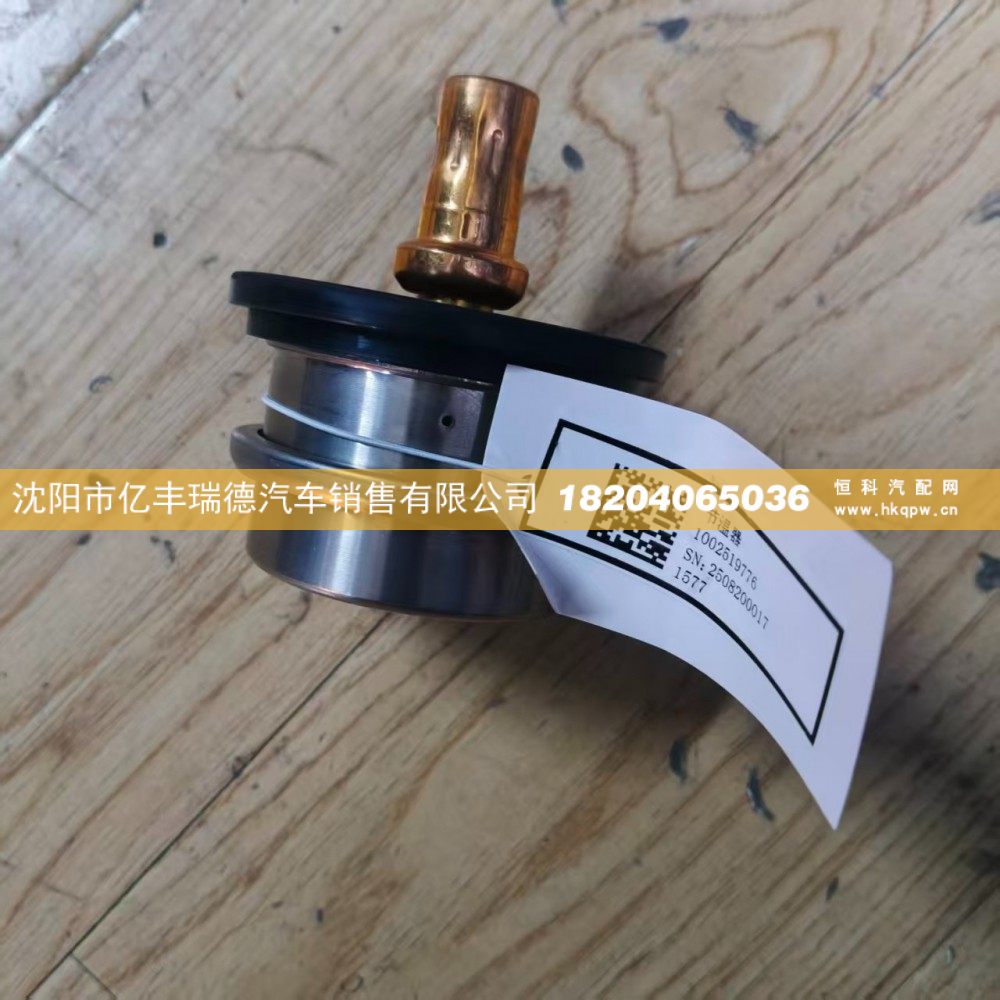 1002519776节温器芯
