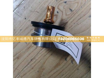 1002519776,節(jié)溫器總成,沈陽市億豐瑞德汽車銷售有限公司