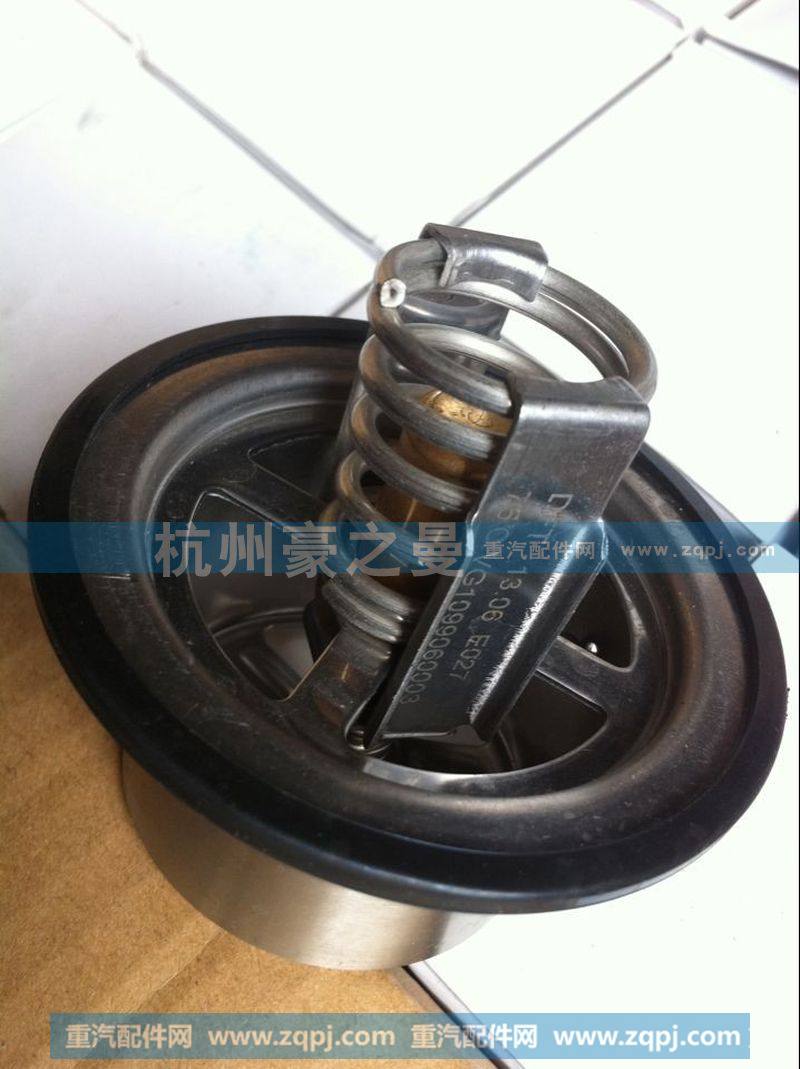 VG1099060003节温器芯75°