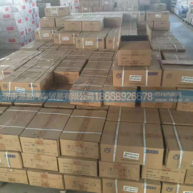 重汽各种活塞，江滨【重汽原厂配件】
