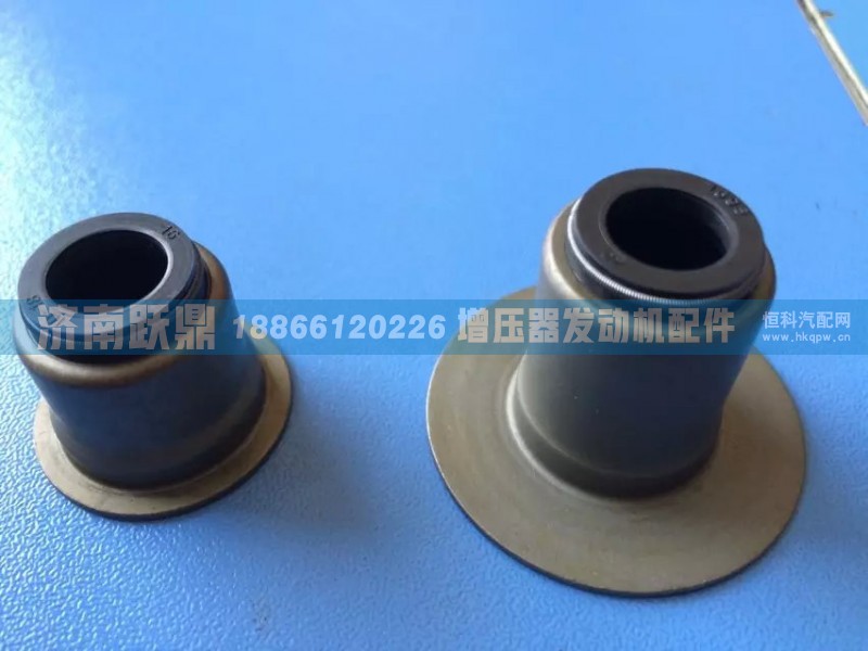 天然氣發(fā)動(dòng)機(jī)氣門油封 Natural Gas Valve Stem Seal/天然氣氣門油封