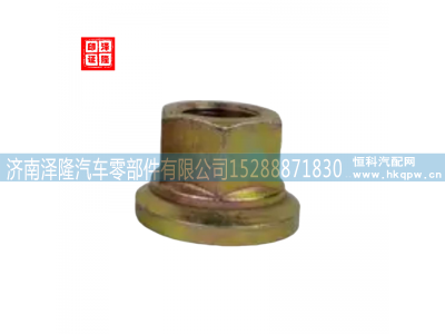 WG9003884160,车轮螺母,济南泽隆汽车零部件有限公司