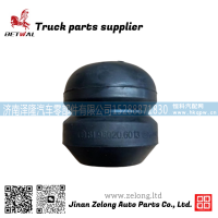 AZ9925522113,弹簧组件,济南泽隆汽车零部件有限公司