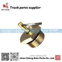 WG9000361402 Water drain valve for Sitrak C7H T5G排水阀