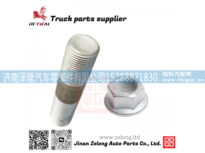 WG9725520229,六角法兰螺母,济南泽隆汽车零部件有限公司