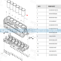 612630010015,气缸套,济南泽隆汽车零部件有限公司