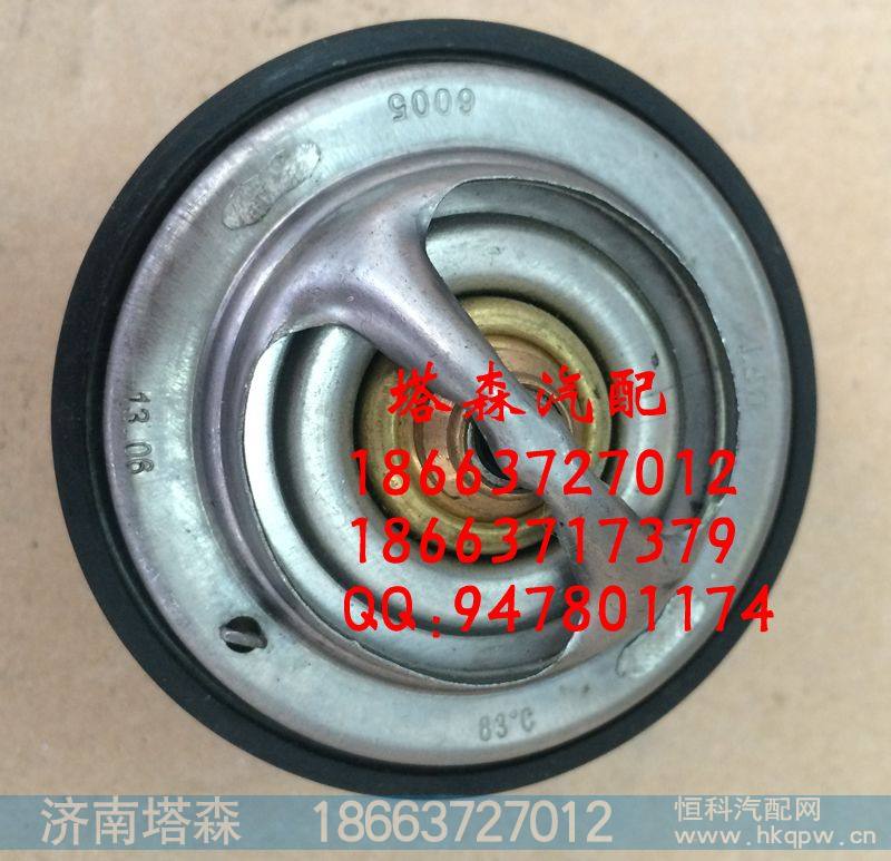 节温器201V06402-6005