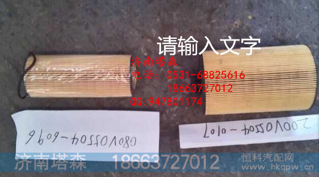 080V05504-6096,滤芯,济南塔森重型汽配