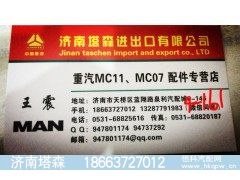 AZ1034121031,尿素泵,济南塔森重型汽配